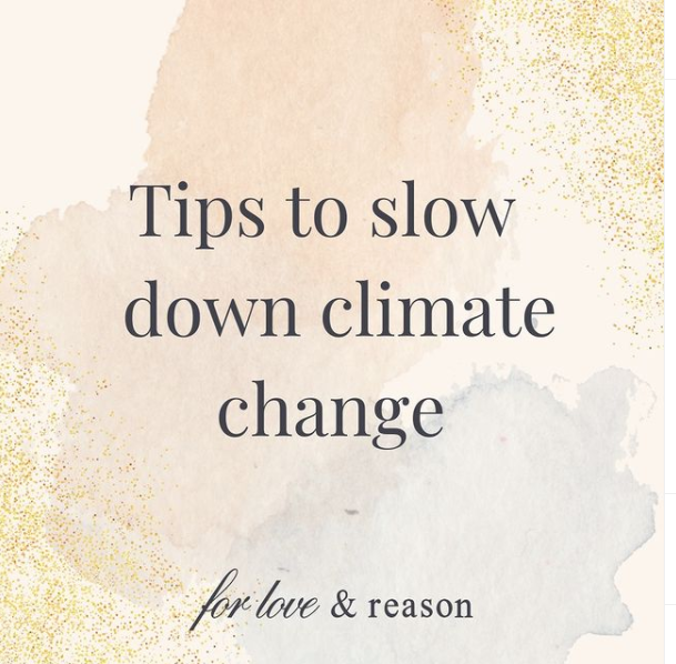 Tips to slow down climate change